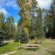 Open grassy area with multiple picnic tables, fire rings, and campground trees — shows on-site picnic/campsite facilities and surroundings (from Events/Blog page context).