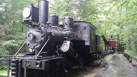 The train at Cradle of Forestry, a nearby attraction.