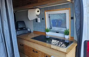 Walrus - 2015 Ram ProMaster