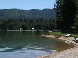 Poole Creek
