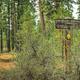 GRAHAM CORRAL HORSE CAMPGROUND