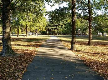 Dam West Day Use Area