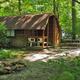 Shaded Cabin with Fire ring