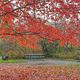 KELLETTVILLE RECREATION AREA (PA).