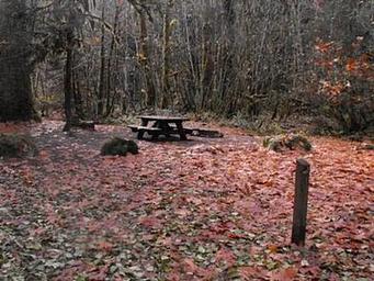 FRENCH PETE CAMPGROUND