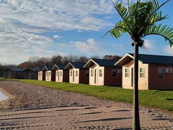 Row of on-site cabins along a sandy beach/shoreline — good interior lodging view (from the Cabins page).
