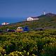Coastal terrace with two tents, two buildings and lighthouse in the distance. 