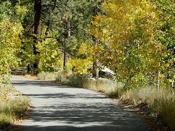 KIT CARSON CAMPGROUND