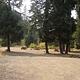 PINE NEEDLE GROUP SITE