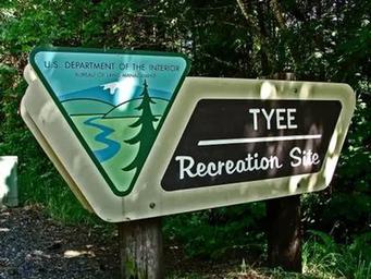 Tyee Campground - Umpqua River