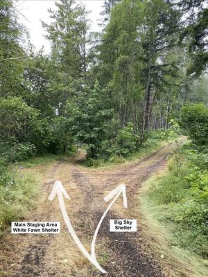 1, Loop: Camp