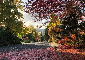 Eugene, Oregon