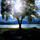 Campspot slideshow image 5
