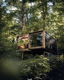 Single modern cabin elevated among trees — shows the on-site treehouse-style accommodation and surrounding forest (site homepage/promotional image).