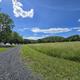 South River Farm Campground