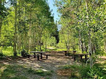 Gooseberry Group Campground Site #3