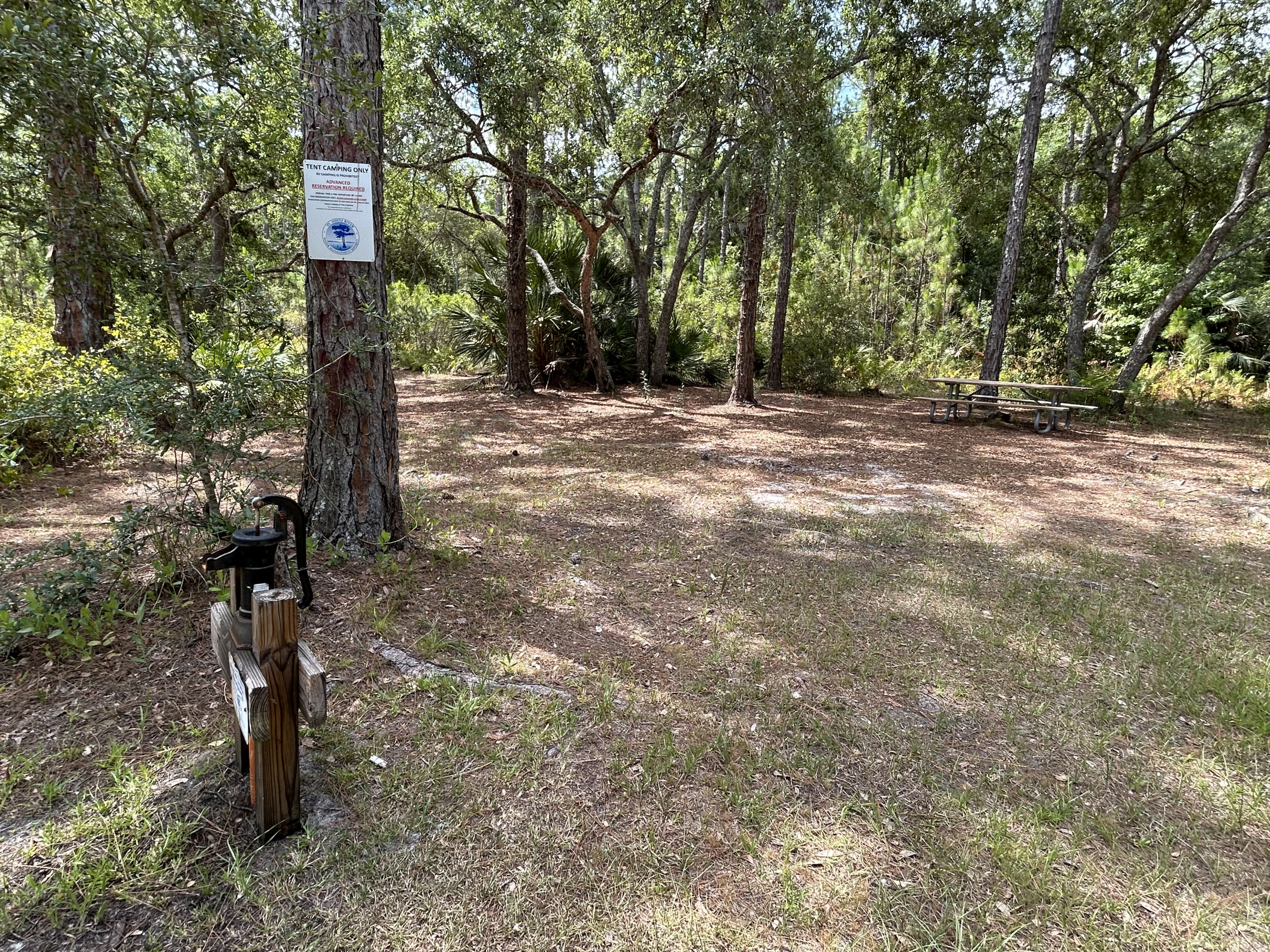 Palm Bluff Conservation Area SJRWMD