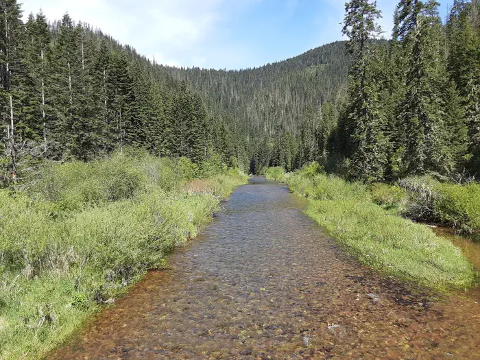 Honeysuckle Campground