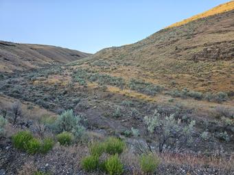 John Day Crossing Historic Site