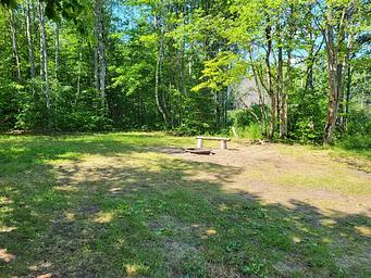 Clear Lake Campsite - Portrait