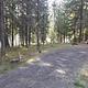 Flat gravel driveway leading to campsite with picnic table and fire ring in pine forest.