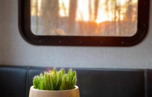 Get cozy in our 2022 Aspen Trail - Delivery only