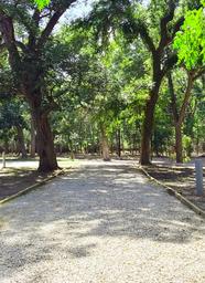 Alamo River Resort - RV Park & Campground in San Antonio, TX (3)