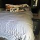 2022 Keystone RV Springdale Home Away from Home