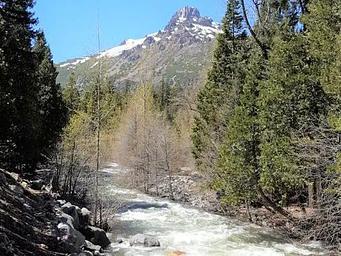 Wild Plum Entrance Sign