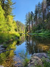 South Umpqua River at Boulder Creek Campground