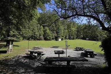 Lower Cove Creek Picnic Area