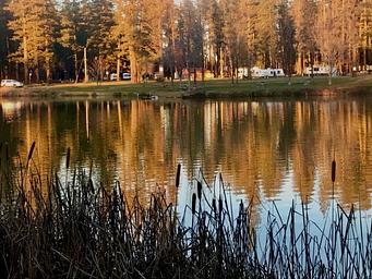 Campground image 2