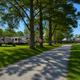 Clear on-site view of RVs parked under trees with a gravel drive — image is from the site homepage for Treeside RV Park and shows campground RV pitches and landscaped grounds.