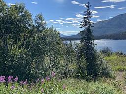 Romig Cabin