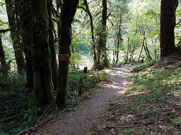 Yellowbottom Recreation Site