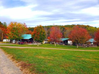 Iron Mountain Horse Camp