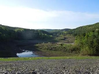 Union Village Dam Picnic Area (VT)