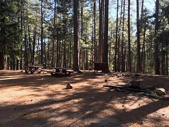 Upper Twilight Group Site