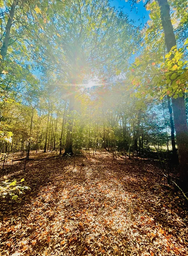 Campspot slideshow image 3