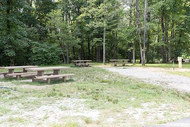 Maple Springs Camp Site 6