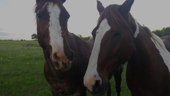 Prairie Lakes Ranch