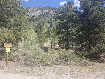 Dawson Cabin, Loop: DAWSON CABIN