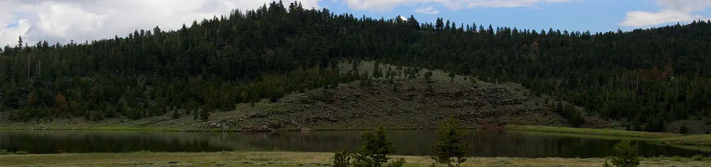 Browne Lake Group Sites