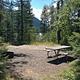 A Fish Creek Campsite surrounded by pine trees.