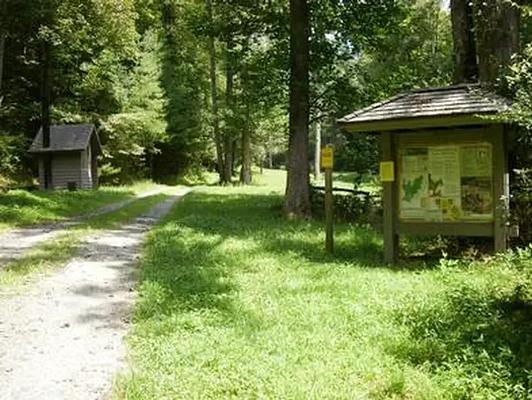 001, Loop: WASH CREEK HORSE CAMP