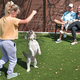 Rio Bonito RV Park Resort - Liberty Hill, Texas - Dog Park
