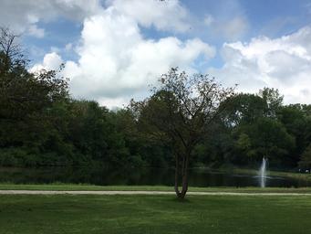 Green River Oaks Camping Resort