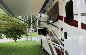 2020 Thor Motor Coach ACE 30.4 (Wander Woman)