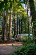 Ramblin’ Redwoods Campground & RV Park