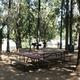 Fawndale Oaks Picnic Area